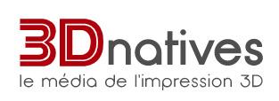 logo 3D natives