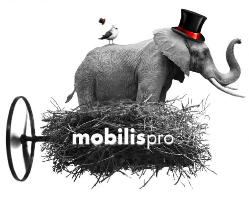 Un éléphant avec un oiseau sur le dos sont emportés par une machine imaginaire qui les décoiffe de leurs chapeaux - créativité et solidité